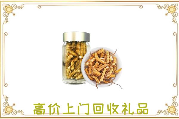 濮阳周边回收虫草